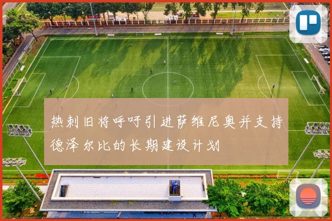 热刺旧将呼吁引进萨维尼奥并支持德泽尔比的长期建设计划