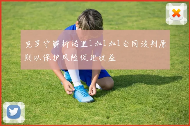 克罗宁解析诺里1加1加1合同谈判原则以保护风险促进收益