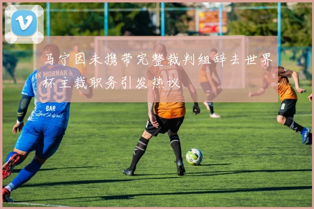 马宁因未携带完整裁判组辞去世界杯主裁职务引发热议