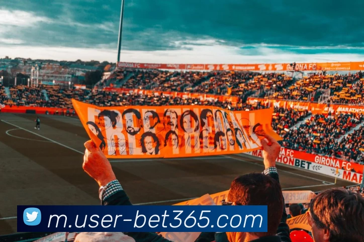 bet365平台生态图