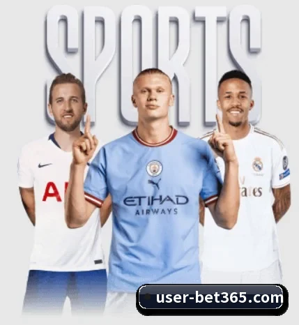 每个板块围绕一个运动项目展开 - bet365